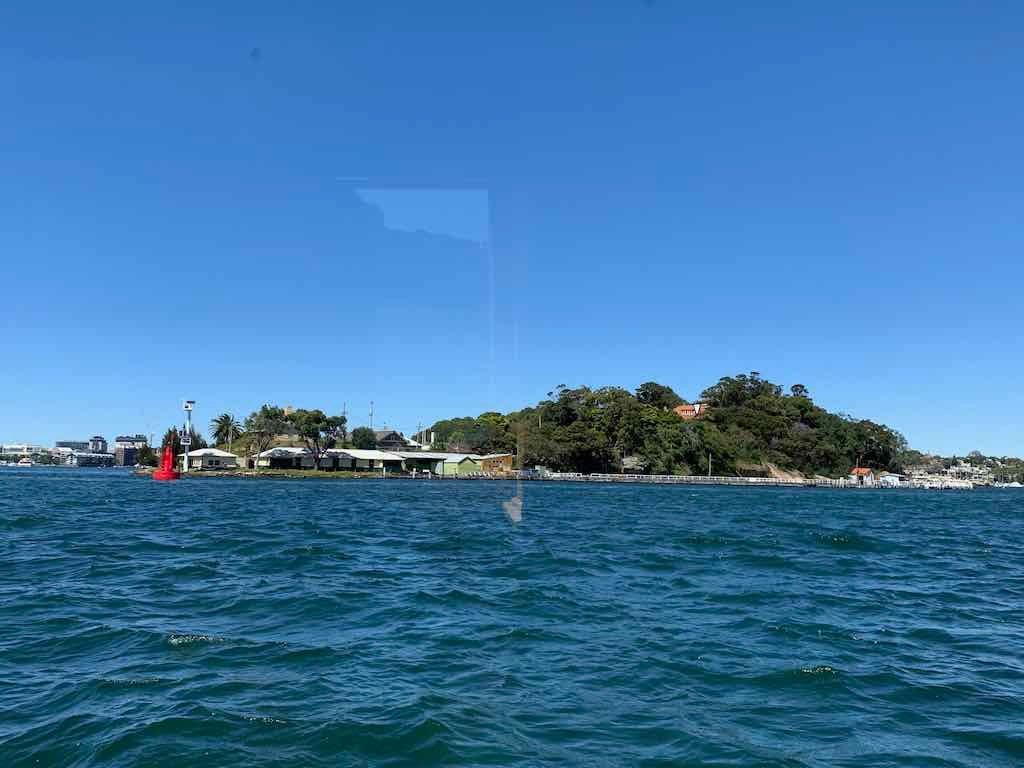 October 2022 Jacaranda Cruise Image -6361c877d29f3